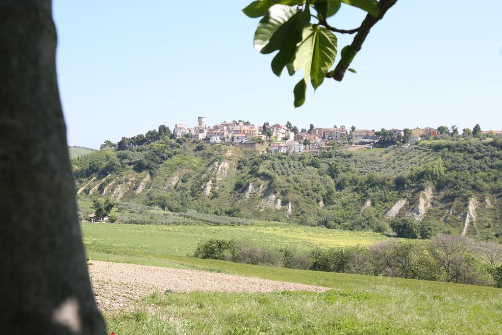 La Locanda Del Picchio Country House Morro dʼOro Esterno foto