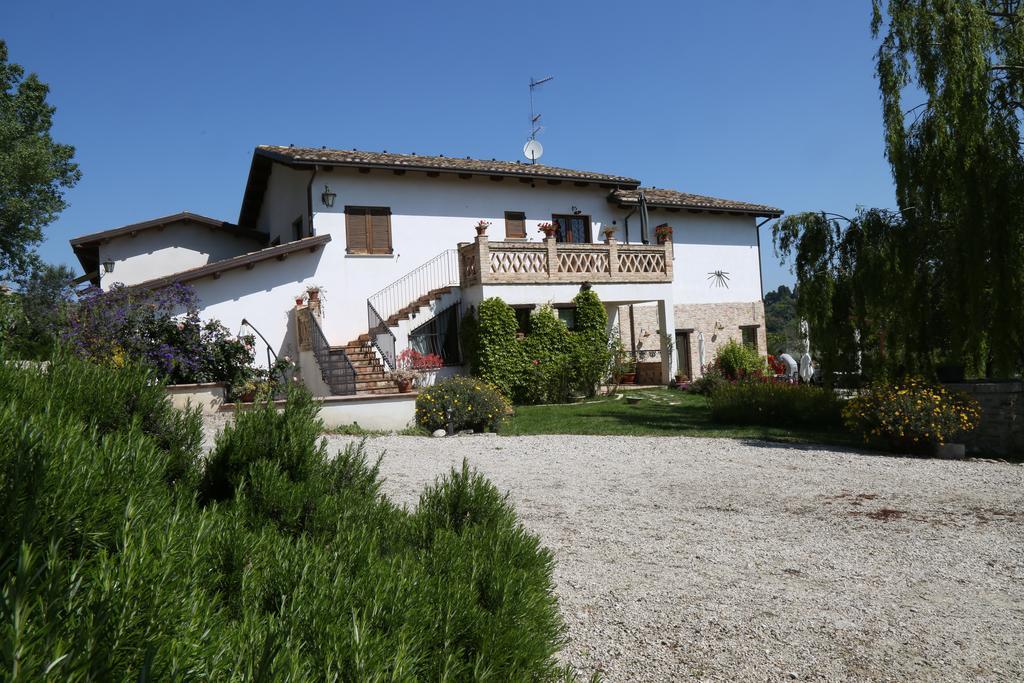 La Locanda Del Picchio Country House Morro dʼOro Esterno foto