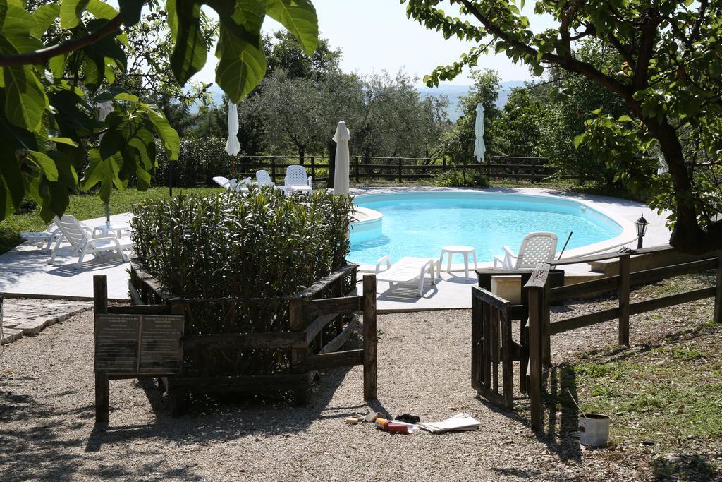La Locanda Del Picchio Country House Morro dʼOro Esterno foto