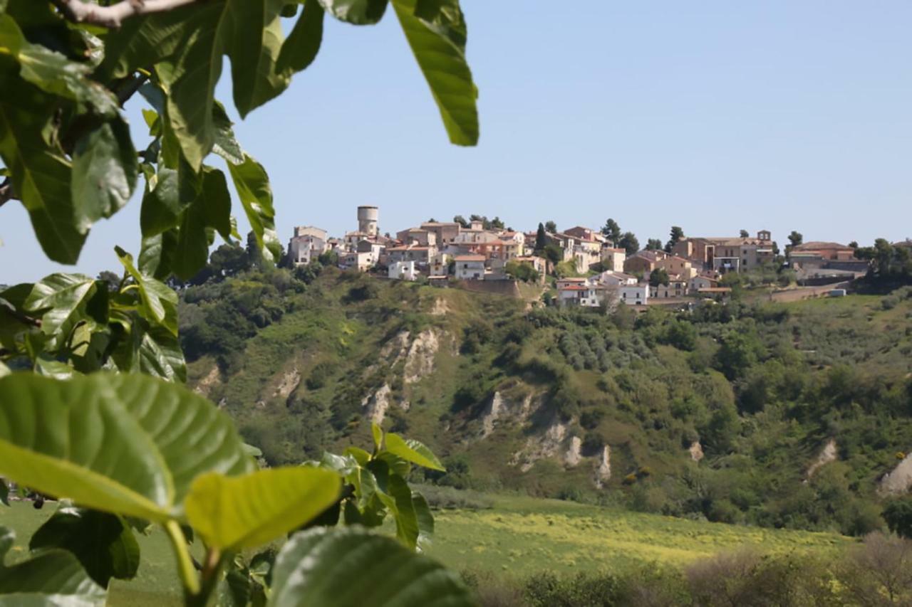 La Locanda Del Picchio Country House Morro dʼOro Esterno foto
